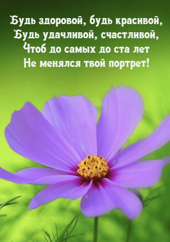 Будь здоровой, будь красивой, Будь удачливой, счастливой, Чтоб до самых до ста лет Не менялся твой портрет!