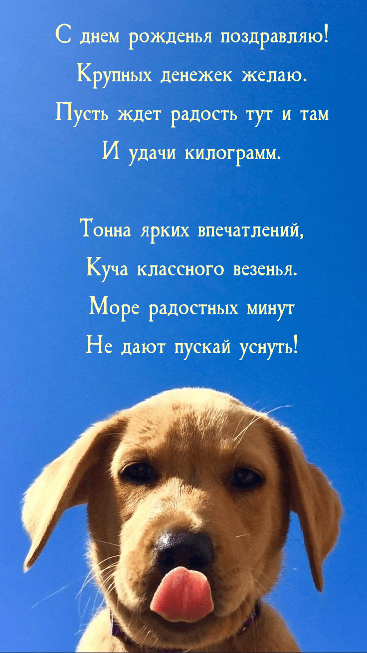 Пусть ждет радость тут и там И удачи килограмм.