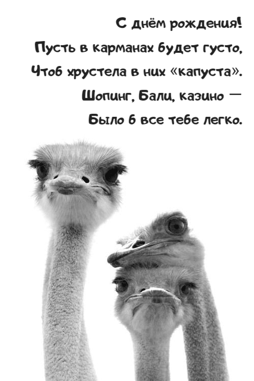 Пусть в карманах будет густо, Чтоб хрустела в них «капуста». Шопинг, Бали, казино — Было б все тебе легко.