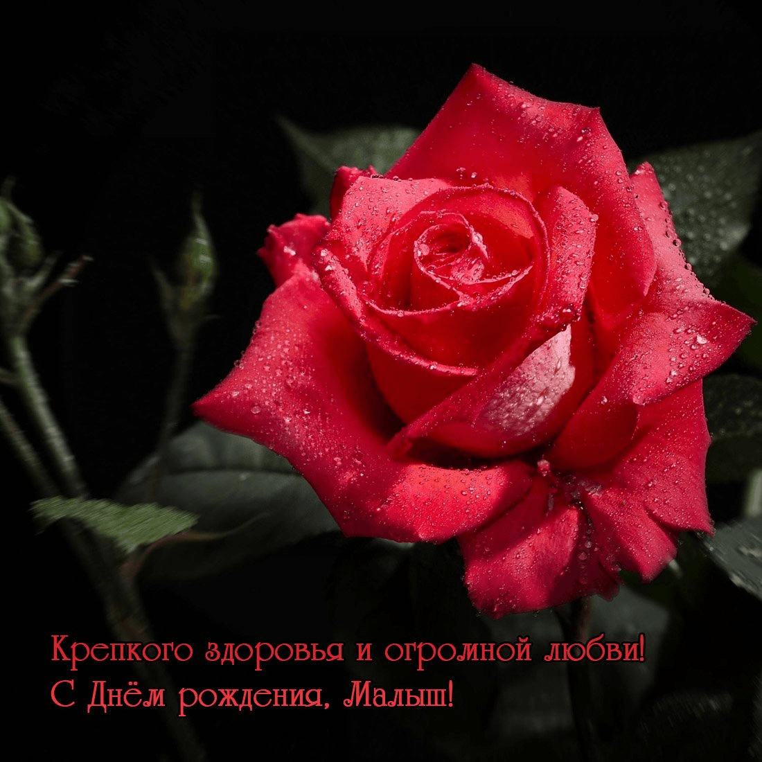 Крепкого здоровья и огромной любви! С Днём рождения, Малыш!