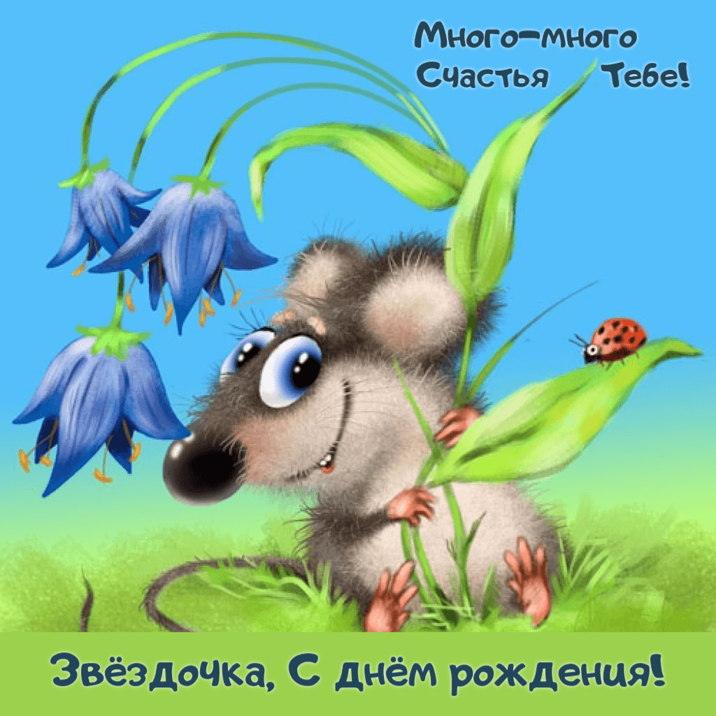 Звёздочка, С днём рождения!