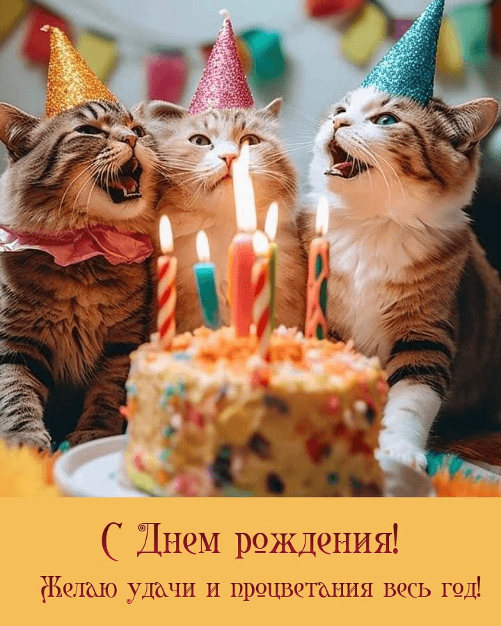 Желаю удачи и процветания весь год!