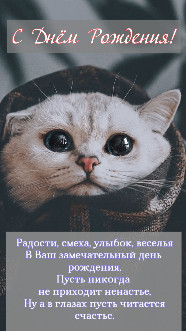 Радости, смеха, улыбок, веселья