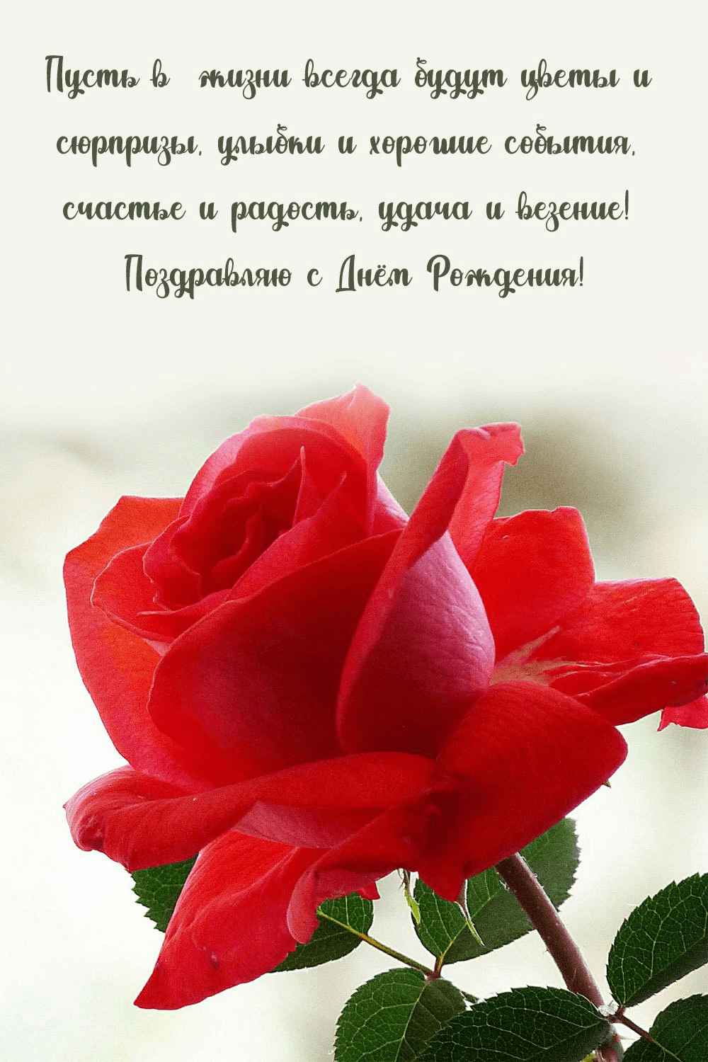 Пусть в жизни всегда будут цветы и сюрпризы