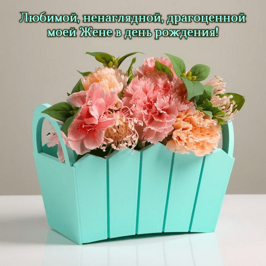 Любимой, ненаглядной, драгоценной моей Жене в день рождения!