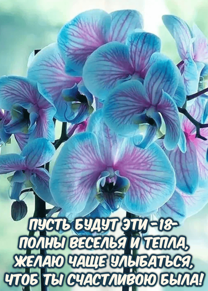 Пусть будут эти -18- Полны веселья и тепла