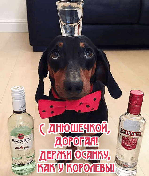 Держи осанку, как у королевы!