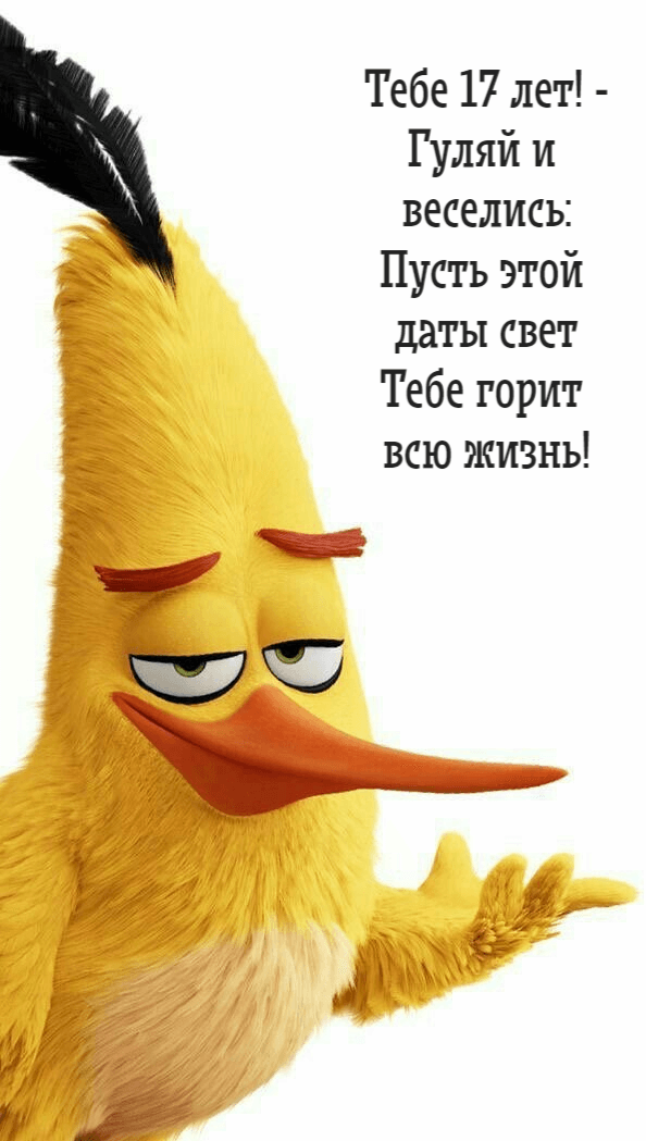 Тебе 17 лет! - Гуляй и  веселись: Пусть этой  даты свет Тебе горит  всю жизнь!