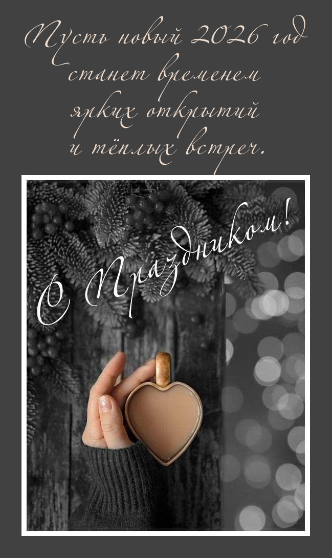 Пусть новый 2026 год станет временем ярких открытий и тёплых встреч.